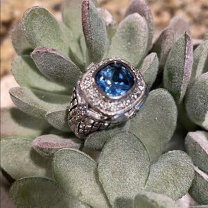 Stylish Silver and Blue Gemstone Ring